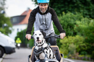 Doggy-Bike